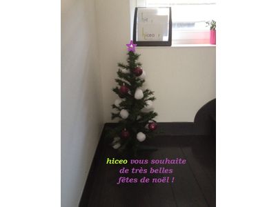 hiceo en mode noël