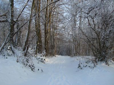 Loi montagne et hébergement des saisonniers