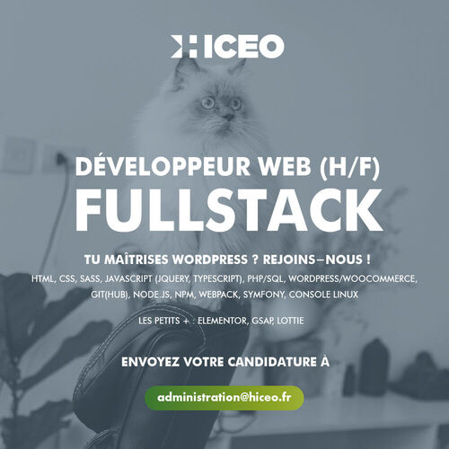 Offre d'emploi : développeur Web H/F Fullstack