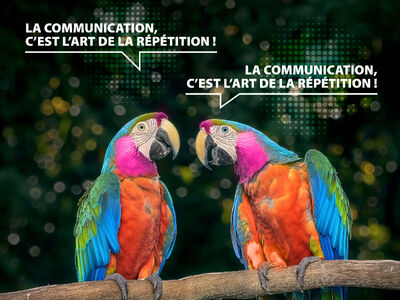 La communication ou l'art de la répétition